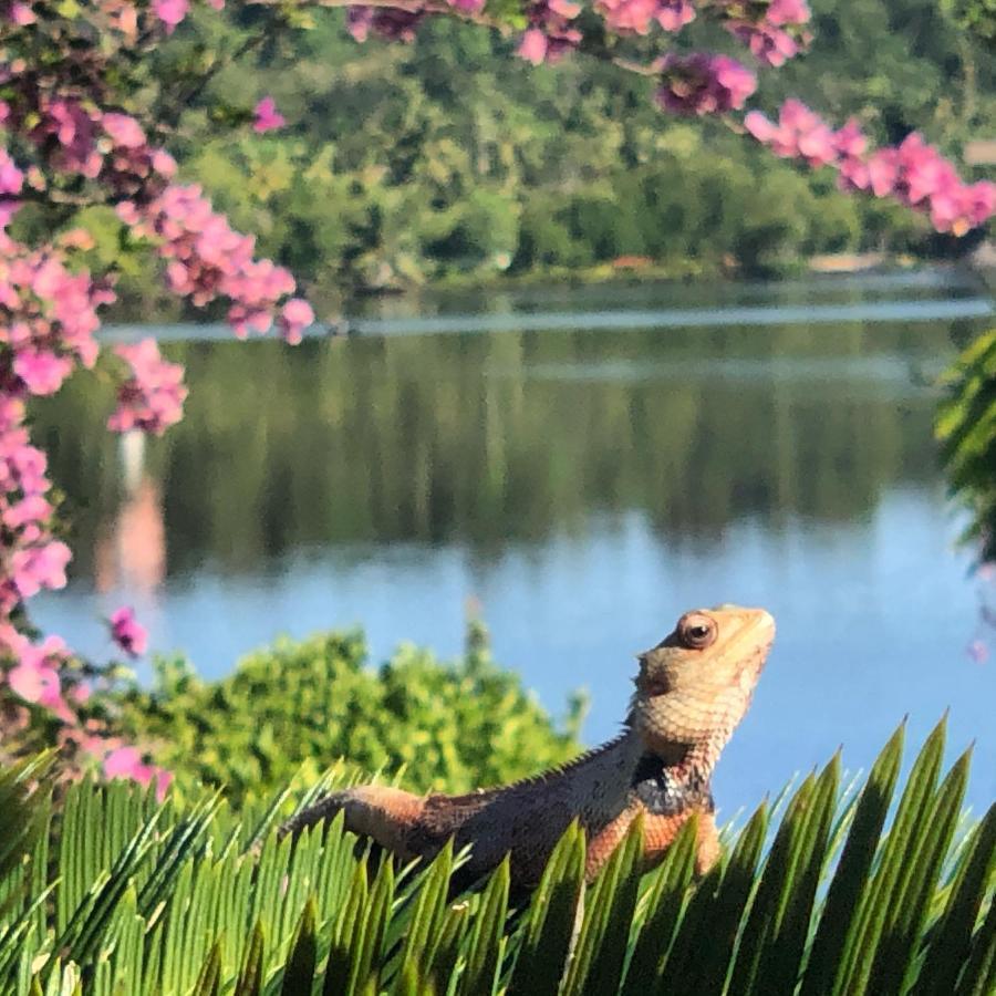 Kalla Bongo Lake Resort Hikkaduwa Buitenkant foto